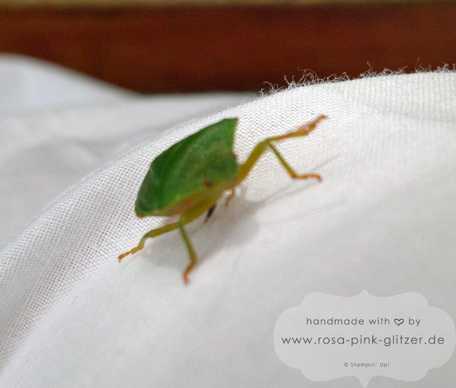 Stampin up Landshut - Wanze 6