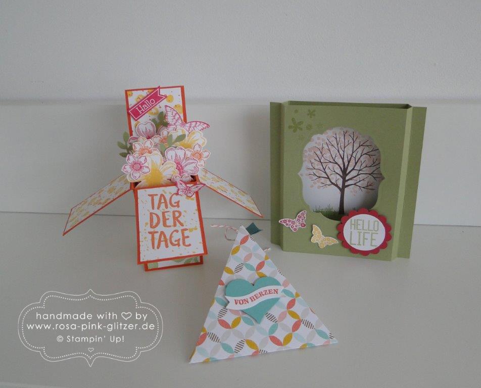Stampin up Landshut - Workshop Tina Card-in-a-box Windowcard Dreiecksbox 1