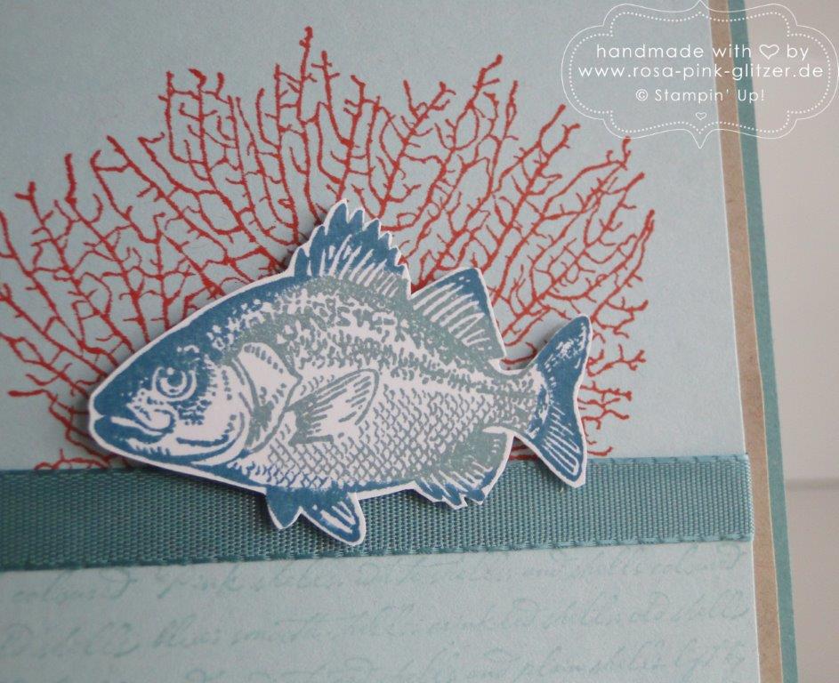 Stampin up Landshut - By the tide imc 1