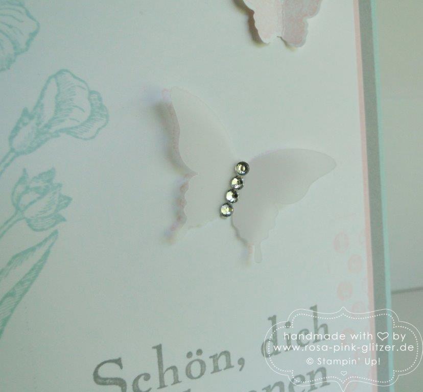 Stampin up Landshut - Schmetterlingsgruß Kinda Eclectic 3