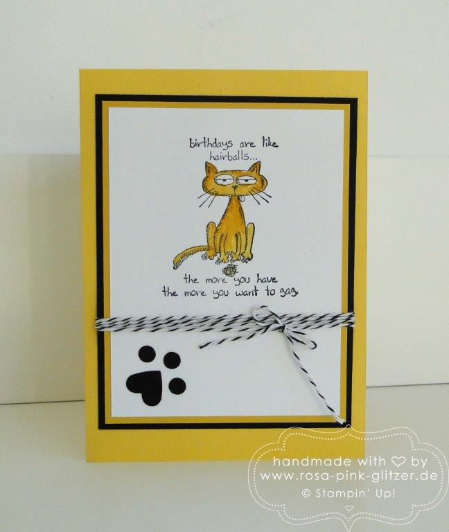 Stampin up Landshut - Giggle Greetings imc 2