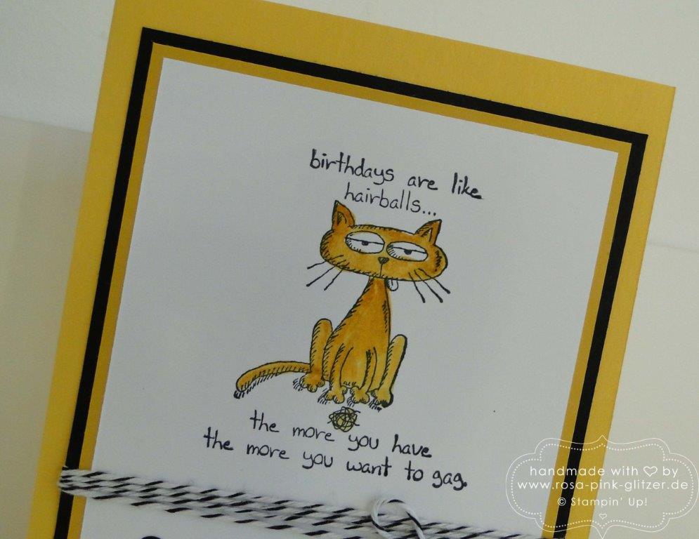 Stampin up Landshut - Giggle Greetings imc 3