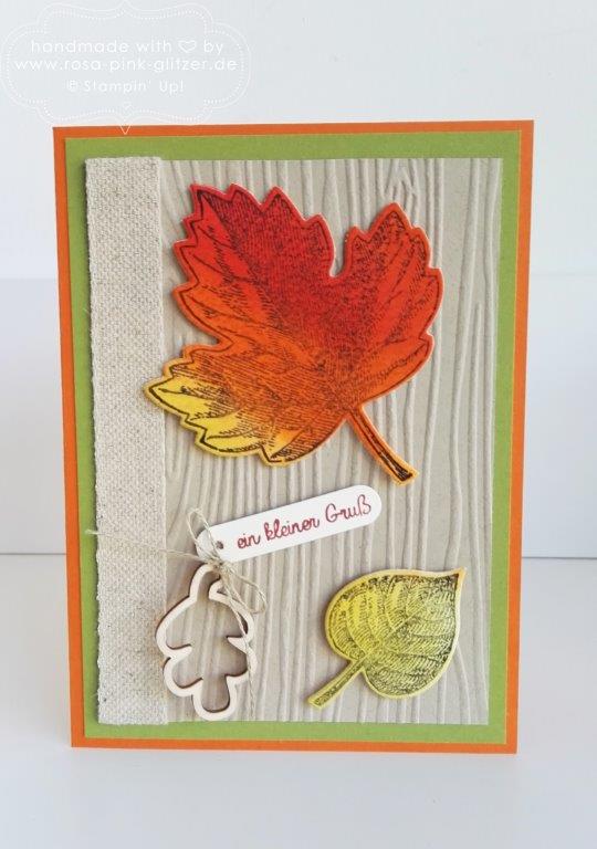 Stampin up Landshut - Vintage Leaves Herbst 3