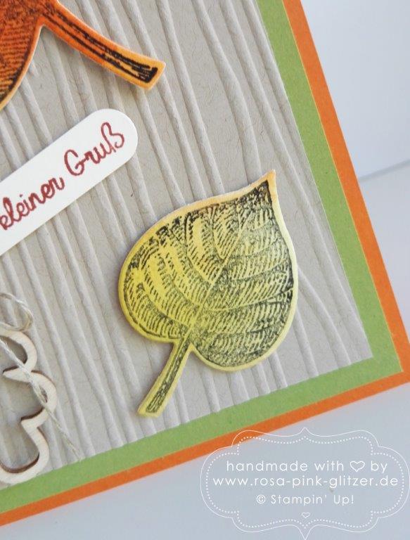 Stampin up Landshut - Vintage Leaves Herbst 4