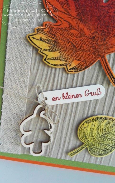 Stampin up Landshut - Vintage Leaves Herbst 5
