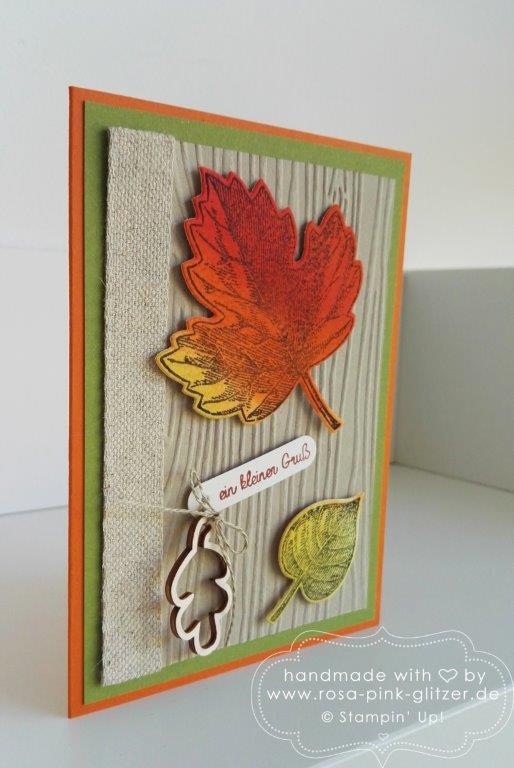 Stampin up Landshut - Vintage Leaves Herbst 6