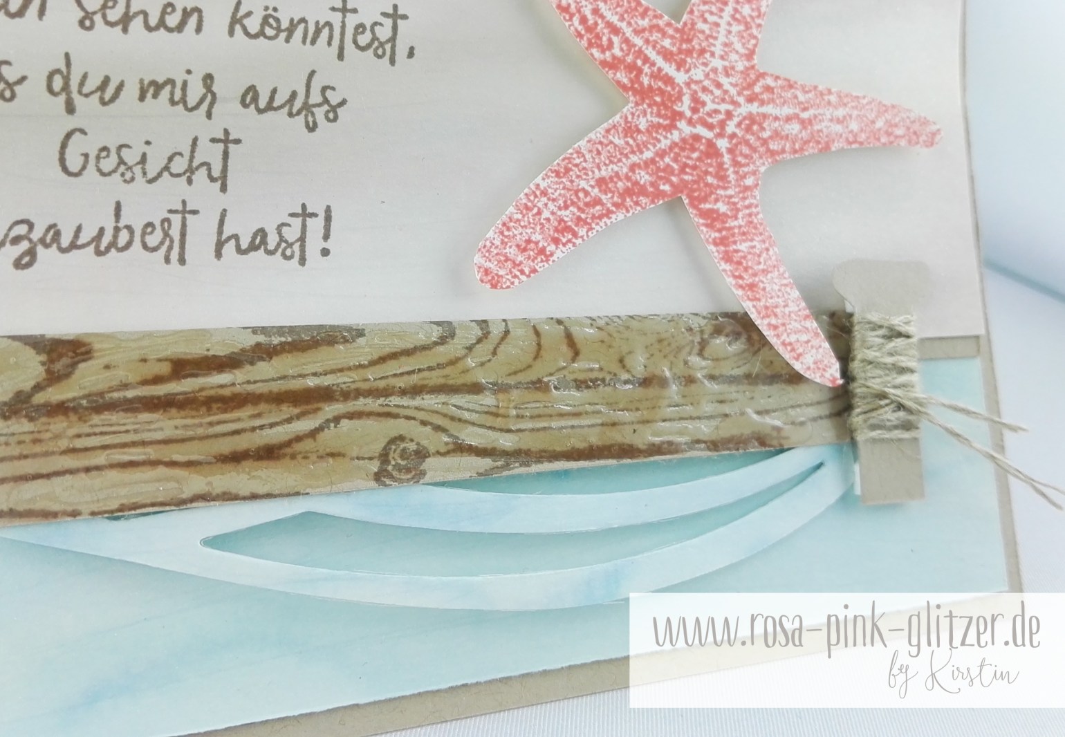 Stampin up Landshut - Picture Perfect Seestern 2