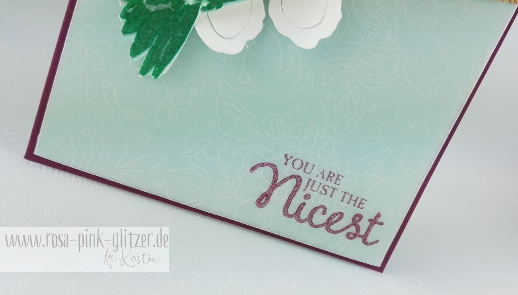 Stampin up Landshut - Picture Perfect Kolibri 4