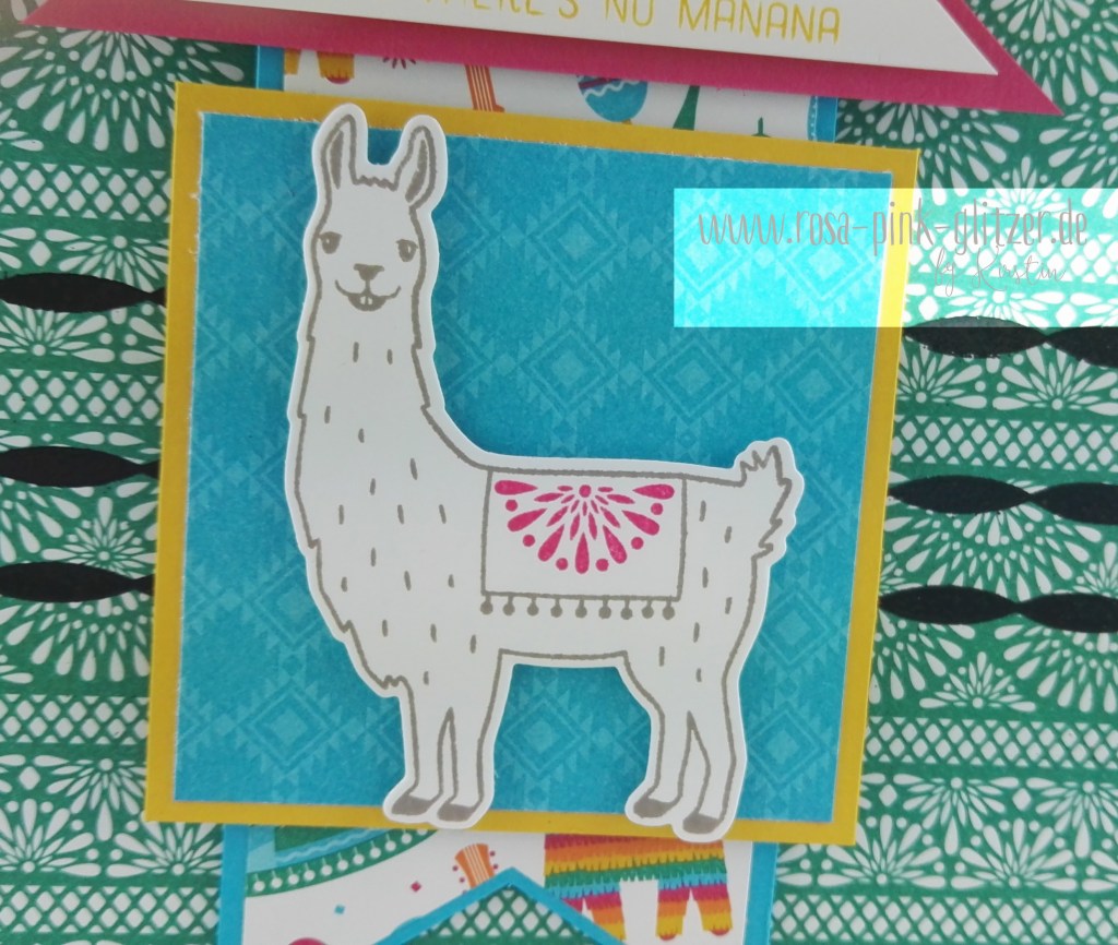 Stampin up Landsut - Fiesta Lama 3