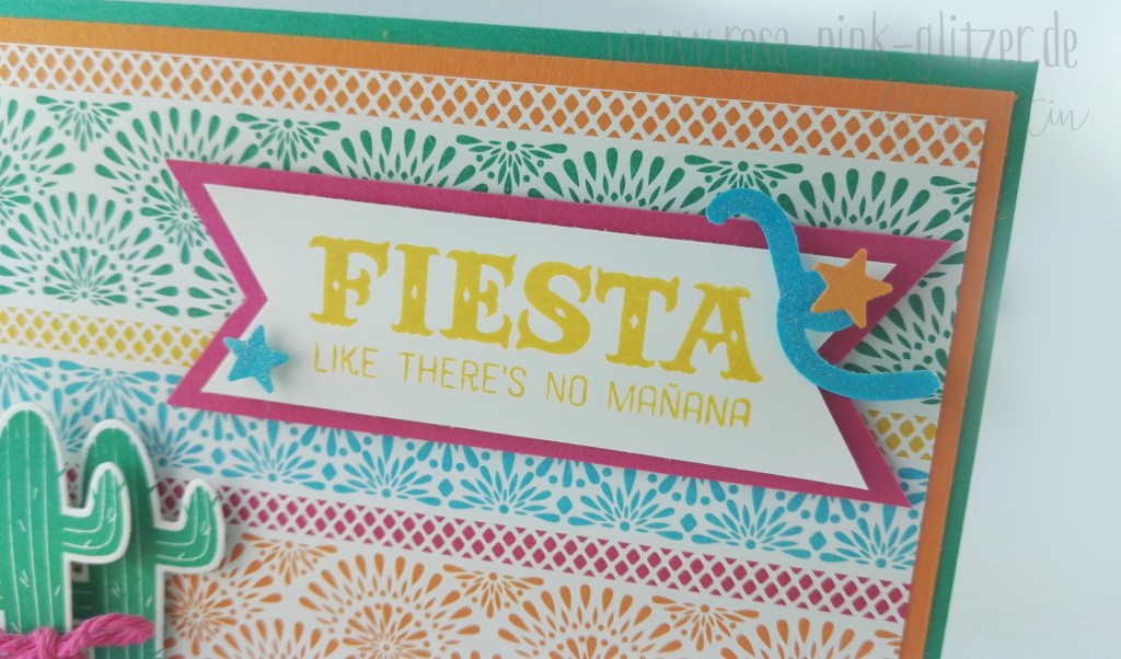 Stampin up Landshut - Birthday Fiesta Kaktus 2
