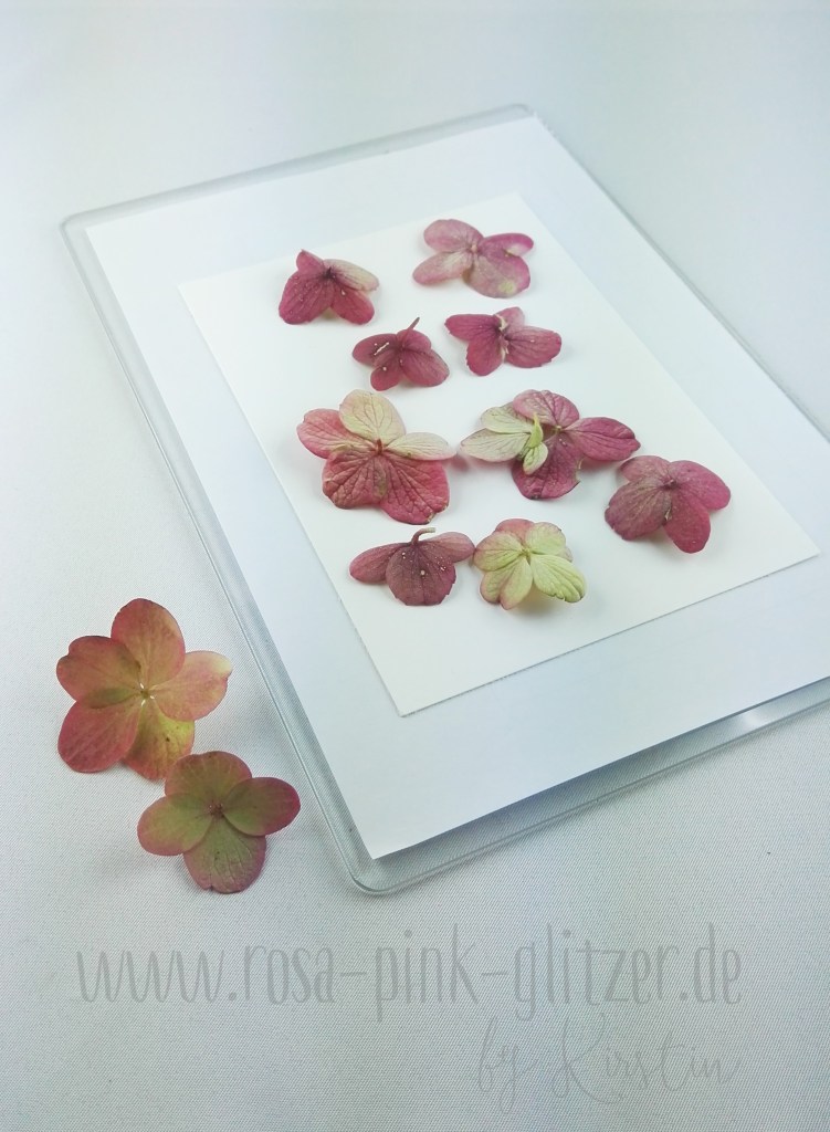 stampin-up-landshut-blumenpapier-blumen-durch-die-bigshot-02
