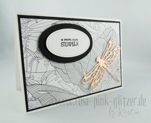 stampin-up-landshut-kreativ-koloriert-libelle-kuper-1